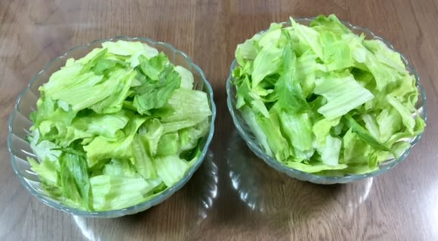 ジャガイモは350gの野菜に含まれないそうです おいしい野菜をつくろう