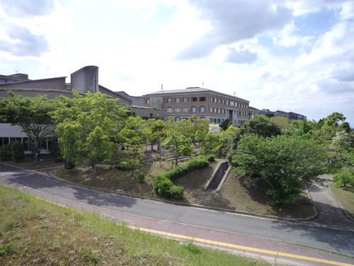 大学