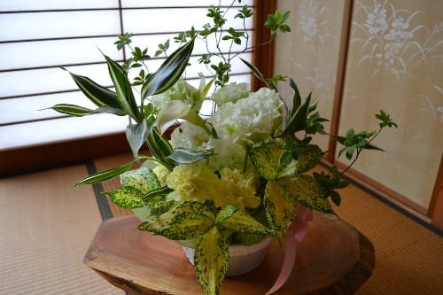 活け直し 挿し木 花好きグランマの独り言