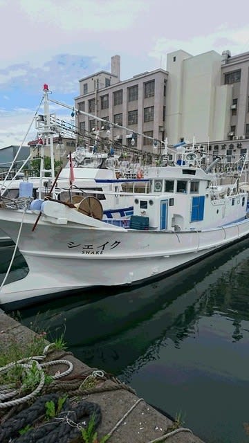 余市沖18イカ釣り報告 柳さんの北海道海釣り日誌