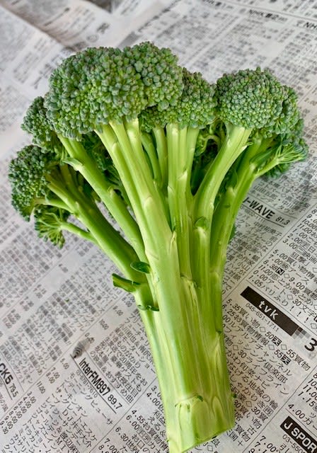 ワンカットブロッコリー おいしい野菜をつくろう