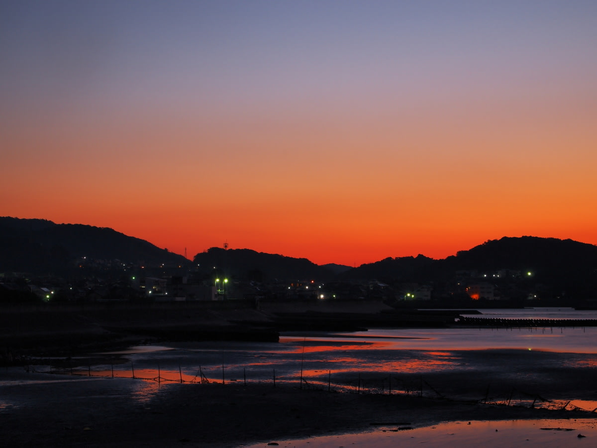 干潟の夜明けの画像