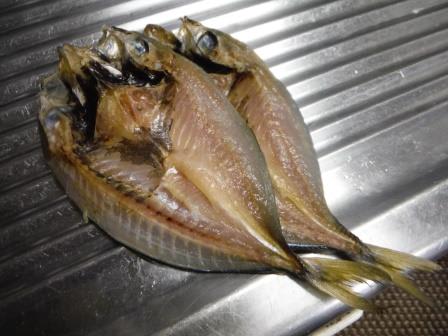 アジの干物の食べ頃は みのろうの釣り雑記