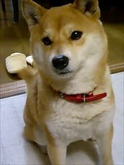 うそーん ひだりのほっぺ うそーん ひだりのほっぺ