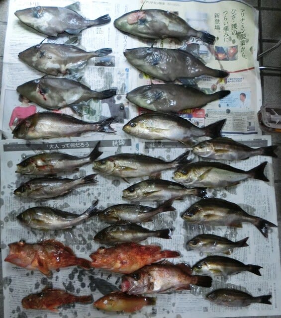 久美浜のちどり丸で沖釣り すすむちゃん日記
