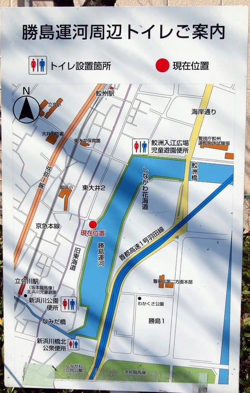 しながわ花海道 菜の花見ごろ 2019 四季の風景 しながわ花海道 菜の花見ごろ 2019 四季の風景