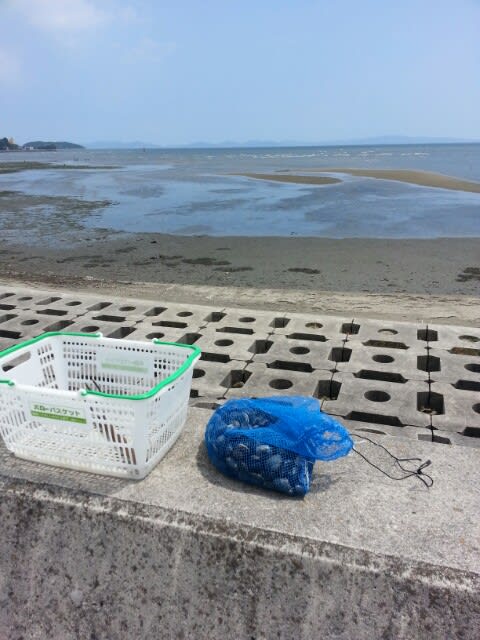 潮干狩り のブログ記事一覧 しんパパの備忘録 そこに山があるから