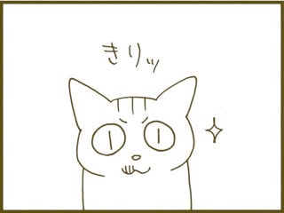 くるねこ セット1 16巻特典付 おばさんとトメ猫医者に訊けくるねこ丼思い出噺 くるねこ 1 全巻 おばさんとトメ くるねこ思い出噺 Ddsodisha Org くるねこ セット1 16巻特典付 おばさんとトメ猫医者に訊けくるねこ丼思い出噺 くるねこ 1 全巻 おばさんとトメ くるねこ思い出噺 Ddsodisha Org