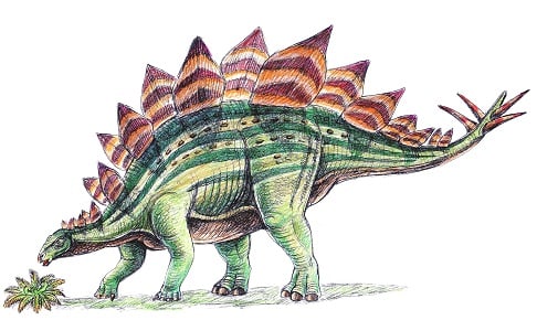 ステゴサウルス 恐竜だいす記