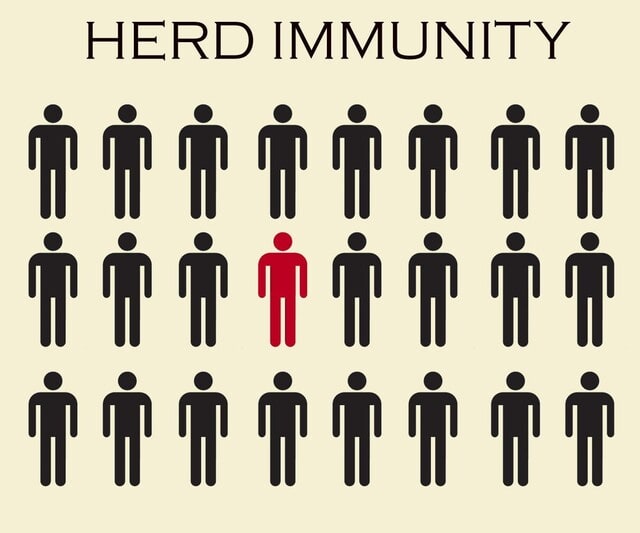 集団免疫(Herd immunity)【言葉の説明】