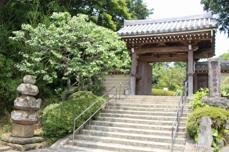 鎌倉 浄妙寺の紫陽花 写真で綴るすぎさんのブログ