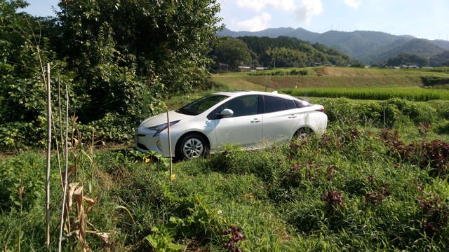 悲報 アクア故障 朗報 代車に最新鋭プリウス来る マジっすか いたち日記 悲報 アクア故障 朗報 代車に最新鋭プリウス来る マジっすか いたち日記