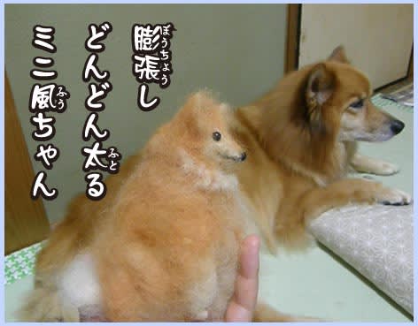 うわっ失敗 風の分身 どうなるの 愛犬の 分身作り ブロジェクト3 雑種犬 風 ふう のひとりごと