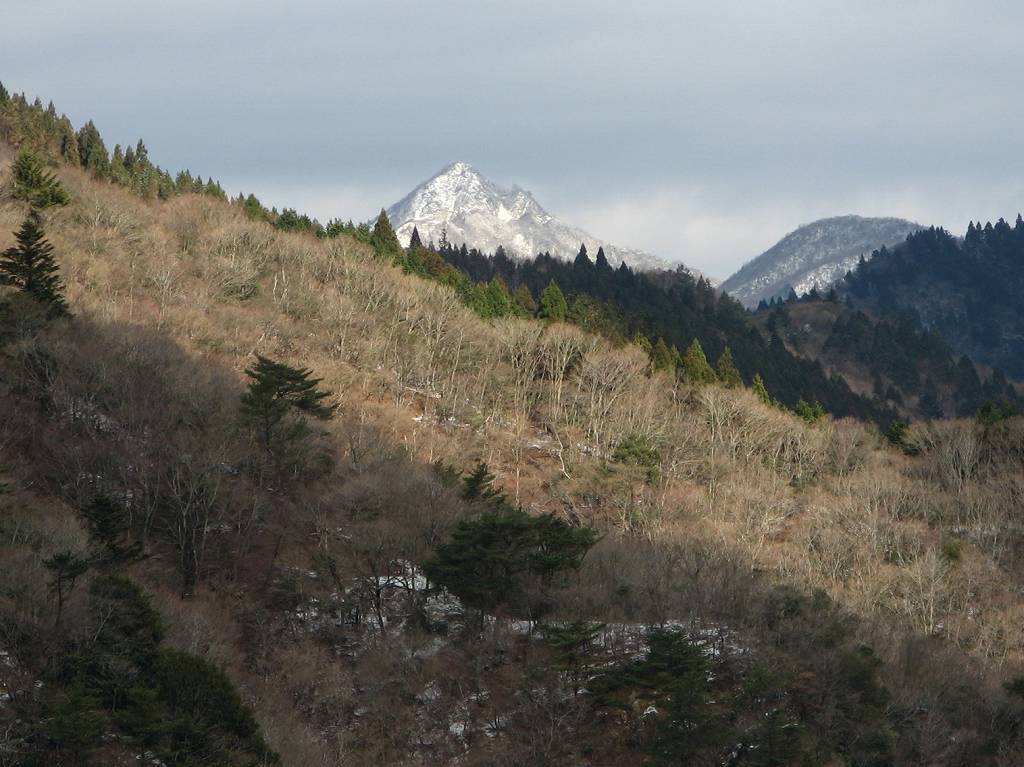 鈴鹿南部の鬼ヶ牙、臼杵岳、臼杵山を周回の画像