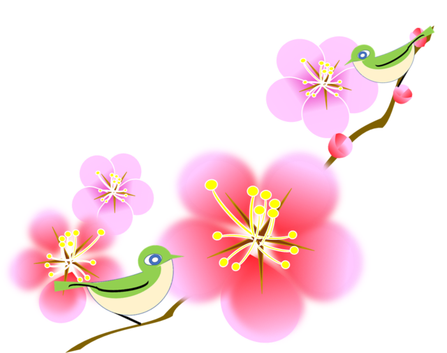 メジロさんがかわいくて お絵描きしましょう