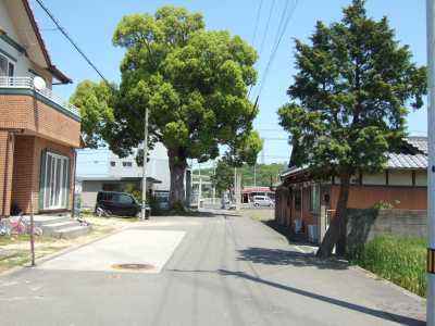 木熊野神社（旧十二社権現）【善通寺市生野町】
