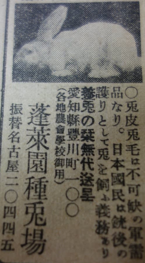 戦時中の兎さんの受難1 カテゴリー 戦時下の日本 No 159 骨董