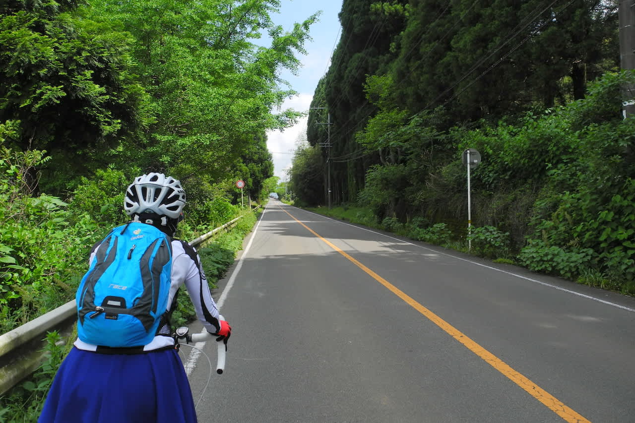 新富 町 自転車