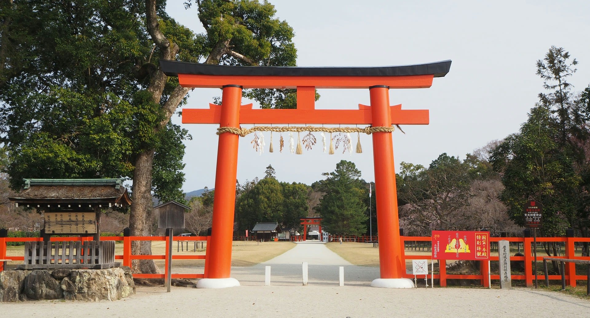 上賀茂神社の桜 京都で定年後生活