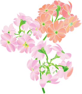 カーネイション 芝桜 プリムラ 来春の準備 Yosigamo Sakura の いけ花ガーデニング 緑 風 陽 と 花イラスト