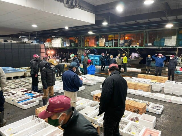 小田原魚市場