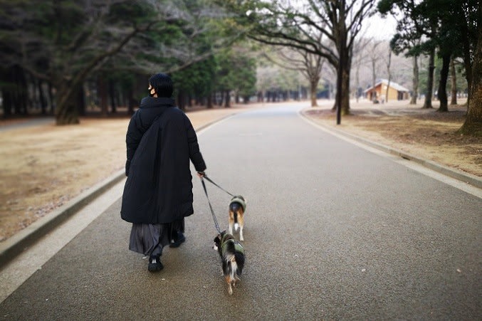 公園 ドッグラン のブログ記事一覧 Crea Cafe 公園 ドッグラン のブログ記事一覧 Crea Cafe
