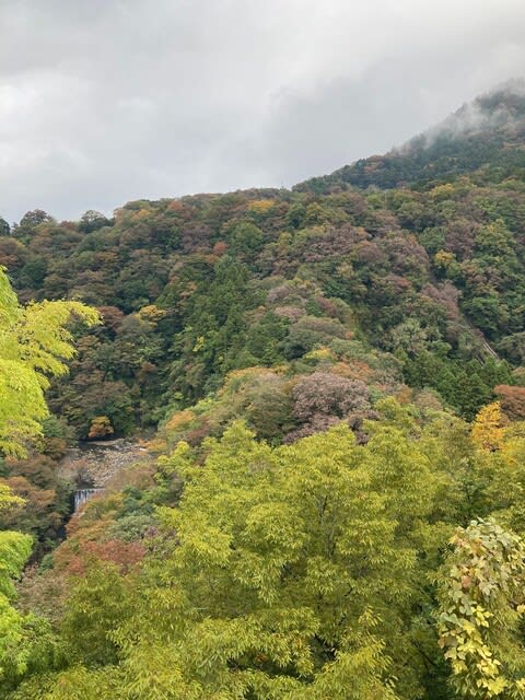 ぶらサタ タカトシ温水の路線バスで 晩秋の箱根 夜の小田原 Jsフードシステム 小田原箱根 美味さんぽ 小田原 箱根グルメブログ