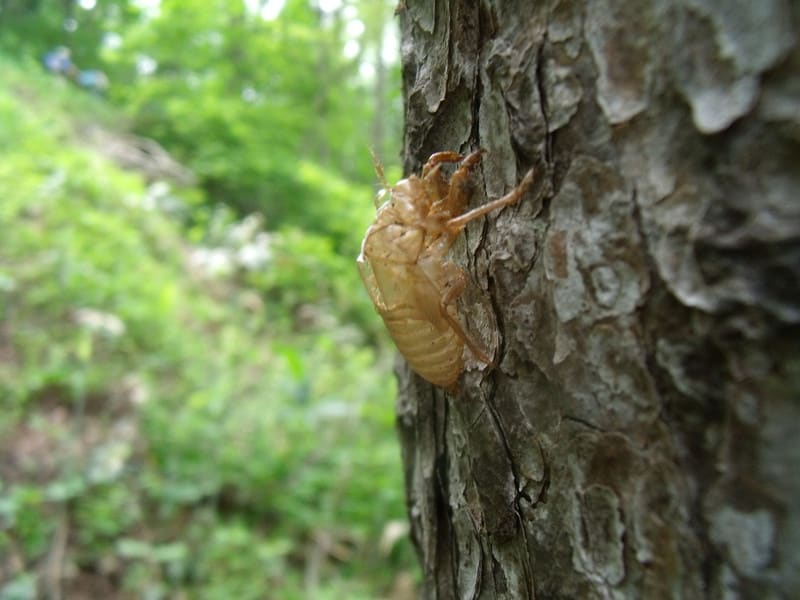 Dscf2771 Dscf2771