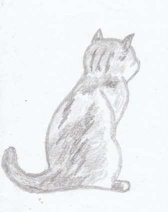 ２月８日の鉛筆画は ネコの後姿 爺チャンの落書帳