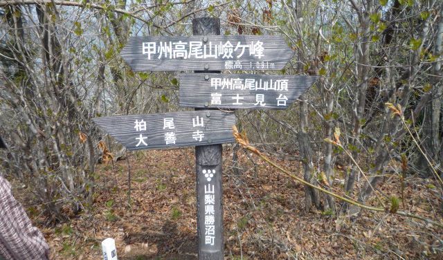 甲州高尾山剣ヶ峰（1091m）山頂