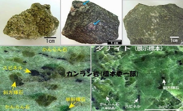 通信販売 海底火山？⑤謎の石？キラキラしている石 tyroleadership.com