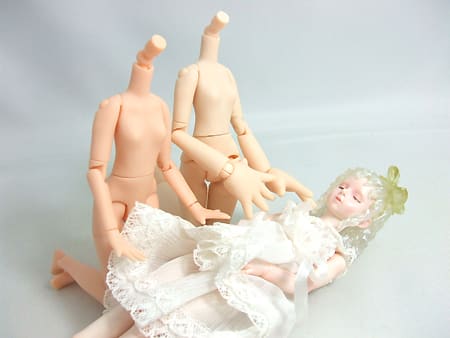 ピコニーモ 買って来たよ ある武装淑女の日記 キャッキャウフフフ ピコニーモ 買って来たよ ある武装淑女の日記 キャッキャウフフフ