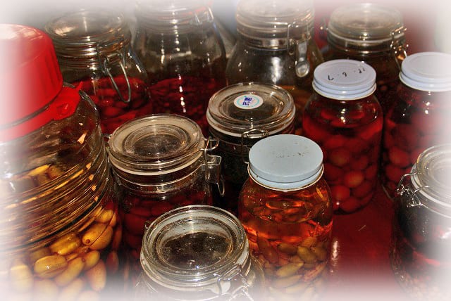 果実酒 山歩き 渓歩き