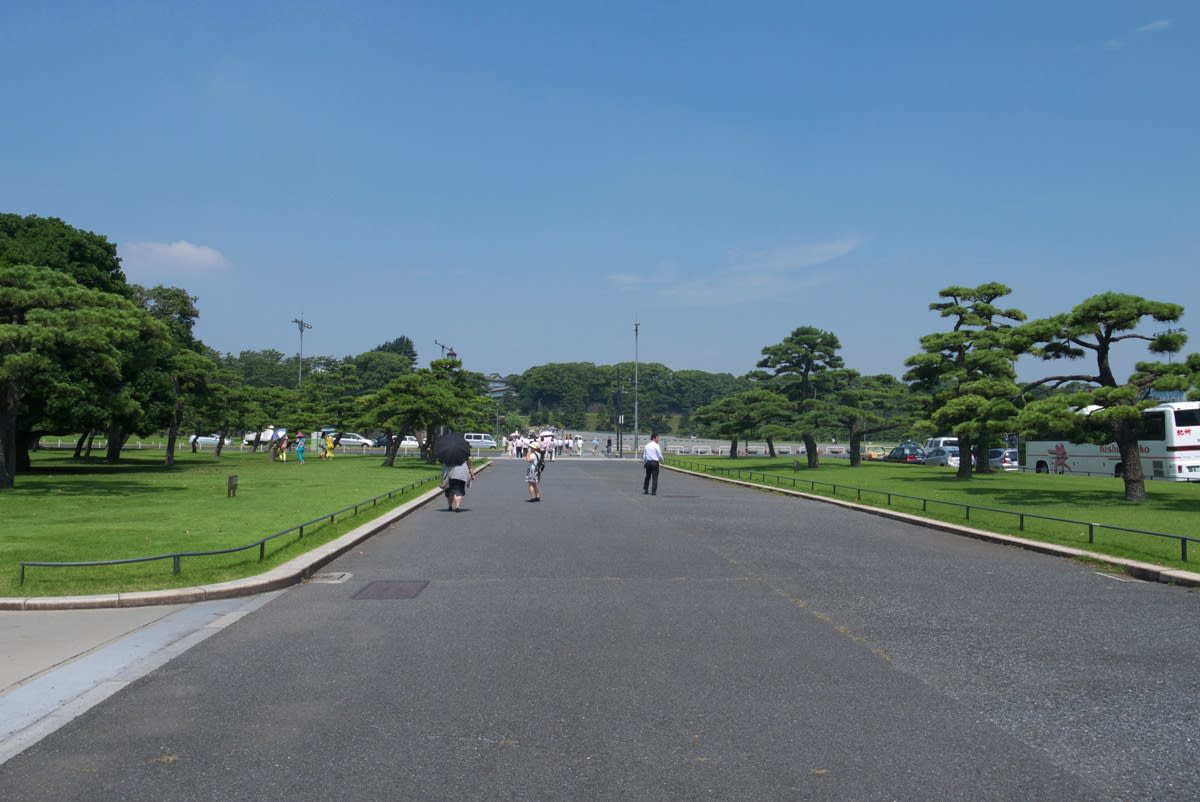 夏日の皇居前広場 黒松の木々と新緑の芝生広場を散策する ｐａｒｔ２ 緑には 東京しかない