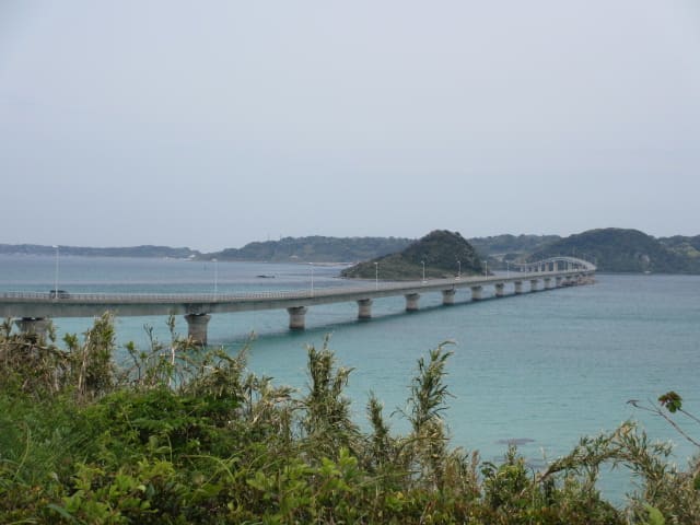 山口県 夢岬 ゆめみさき Beauty Road マユパパのブログ