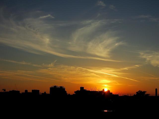 ススキ 　夕焼け