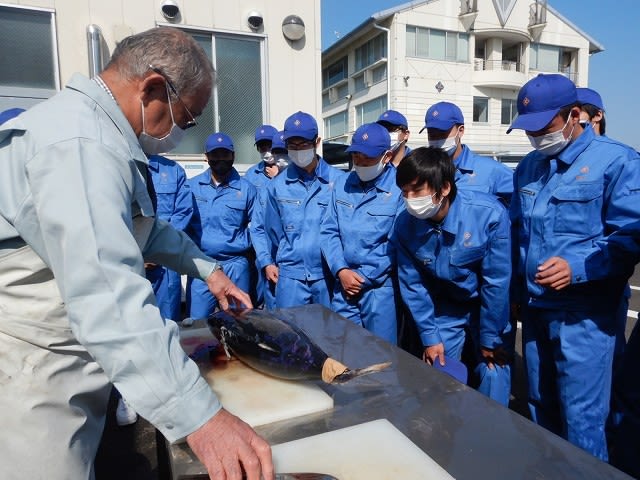 カツオのさばき方を勉強 静岡県立漁業高等学園は 創立50年 一流の漁師になる近道です