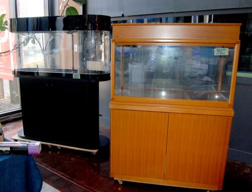 最新情報 ペンギンビレッジぶろぐ 水中たより 大泉店