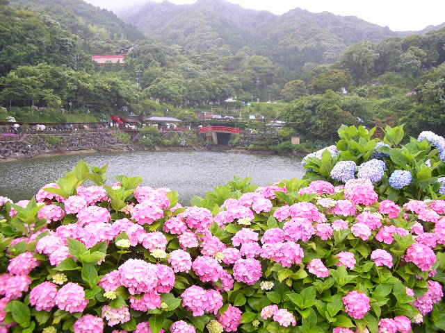 形原温泉・あじさいの里の画像