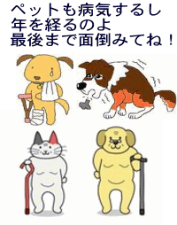 14年10月のブログ記事一覧 わいわいサロン