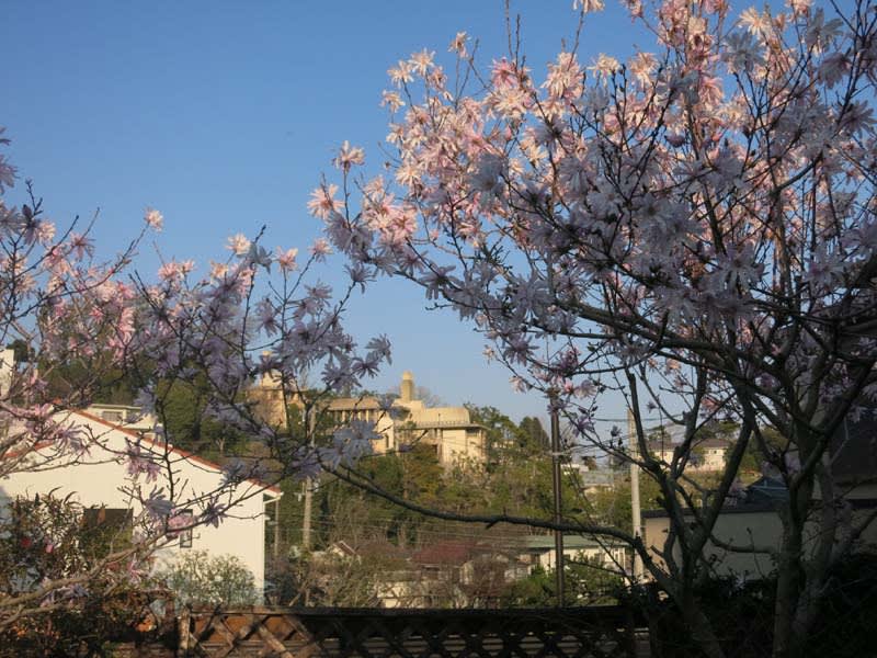 ウンパニ体操 若く見える丸秘テクニック 錦通信の日記