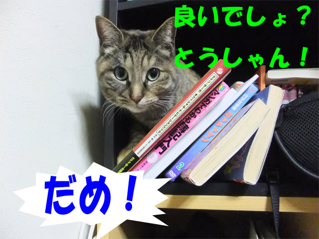 イメージ 3