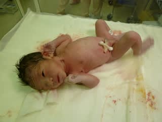 生後0日 産まれてすぐの写真 フロク ブログ 生後0日 産まれてすぐの写真 フロク ブログ