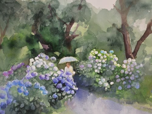 紫陽花の咲く小道 F 4 水彩画を友として 旧退職おじさんの水彩画日記