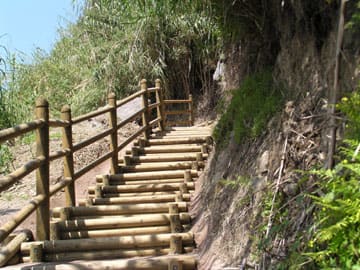 知林ヶ島に遊歩道ができた