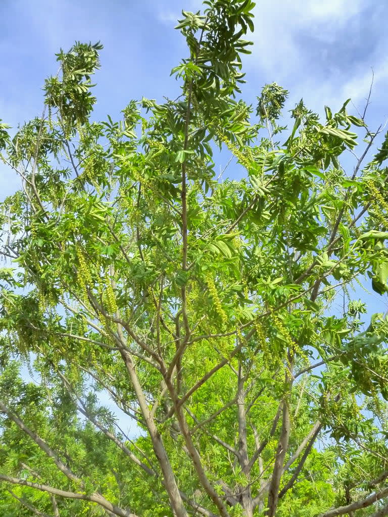 季節の花 3の画像
