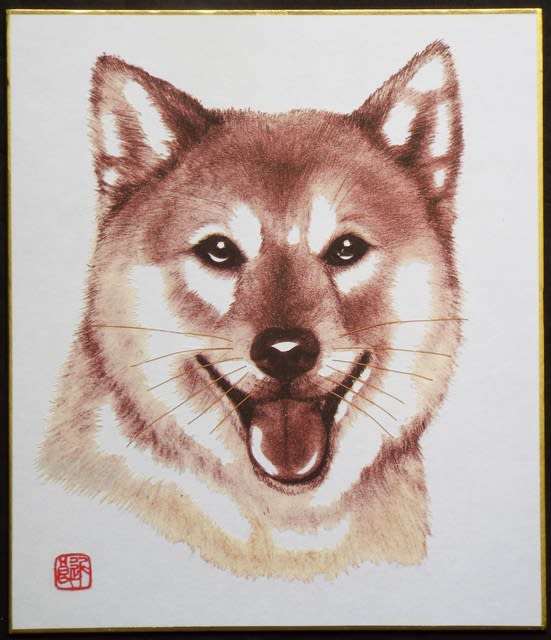 絵画 黒柴 超 犬 色紙 絵画 黒柴 超 犬 色紙