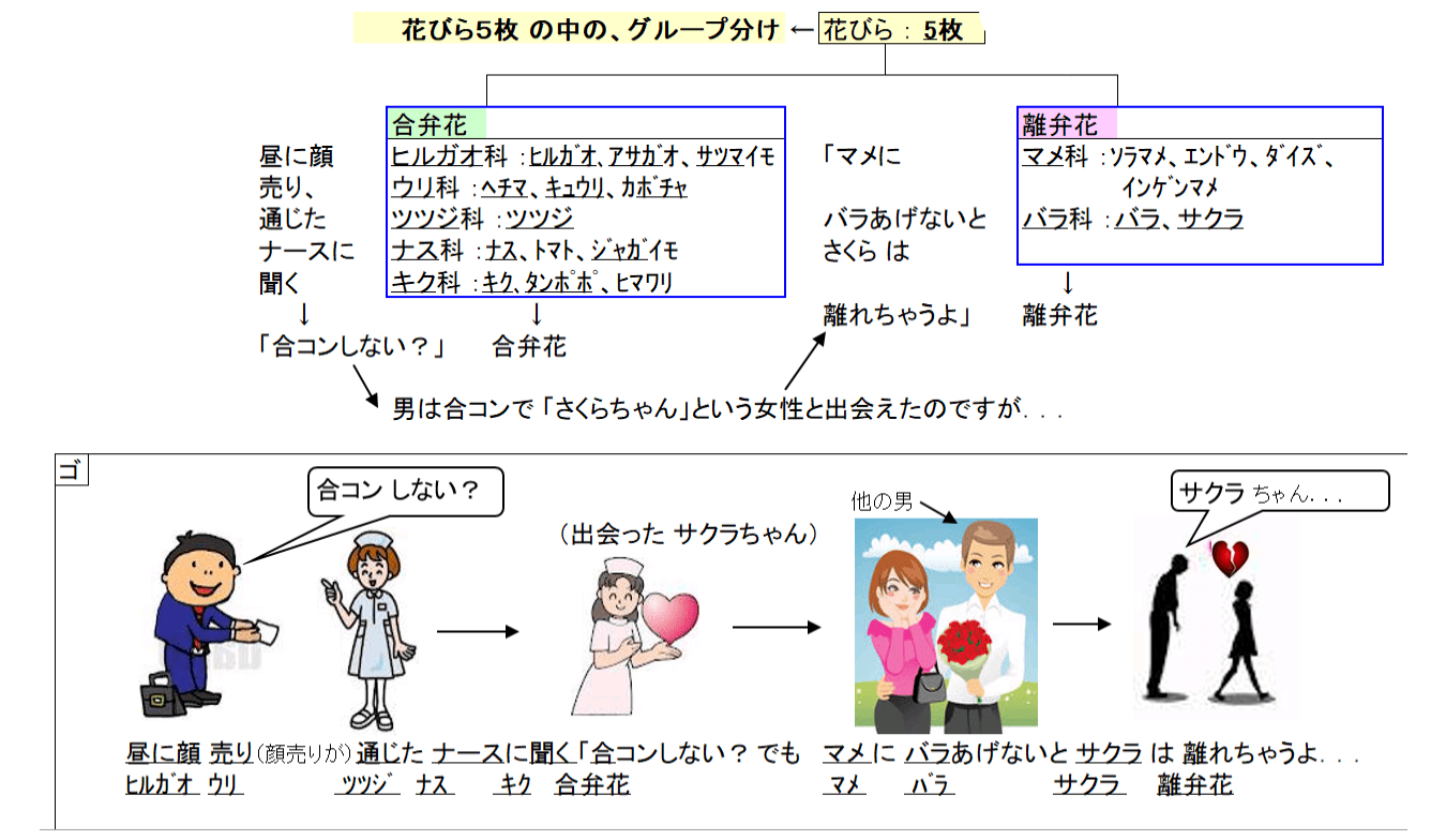 中学受験理科暗記 生物分野 植物 花の分類 は語呂合わせが有効 中学受験理科 生物分野 植物 花の分類 暗記は語呂合わせで覚える暗記方法 が絶対お勧め 中学受験理科暗記は 語呂合わせ満載の最強まとめノート教材で 大幅成績アップを実現 理科暗記の最強まとめ