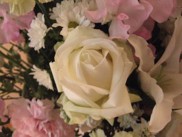 教会の講壇の花 - 猫と花と笑いが好きな 楽しいクリスチャン 教会の講壇の花 - 猫と花と笑いが好きな 楽しいクリスチャン