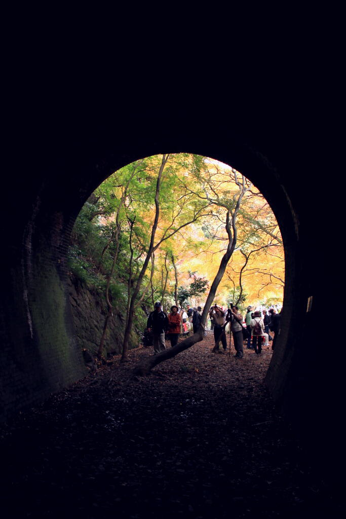 廃線跡　の画像